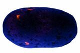 Fluorescent Yooperlite Pebble - Michigan #177486-1